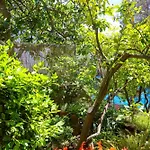 Apartmán By The Sea Bilo, Primosten - 4176