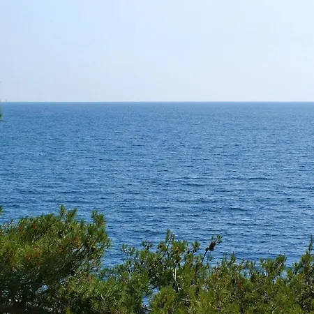 By The Sea Bilo, Primosten - 4176 * Podgreben