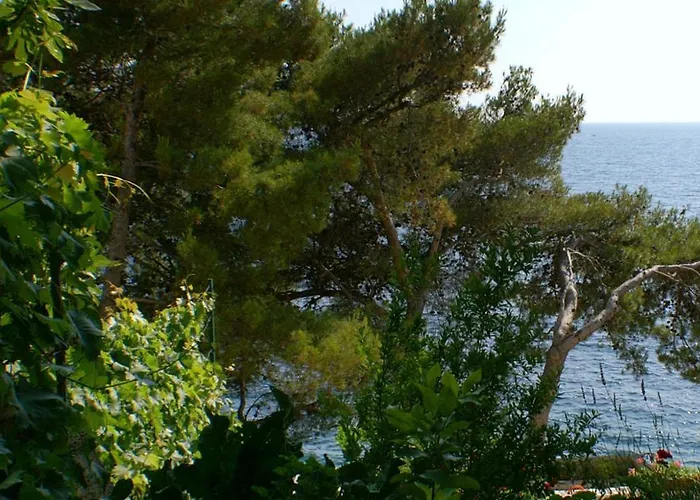 By The Sea Bilo, Primosten - 4176 Apartman